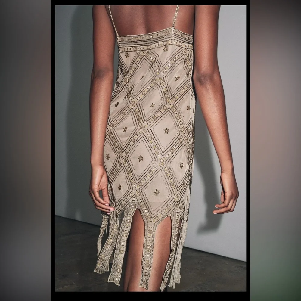 Zara limited edition EMBROIDERED TULLE Mini DRESS - Picture 4 of 15